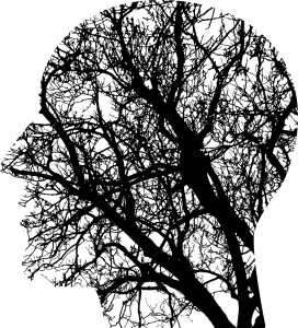 unknown, think, contemplate-1769656.jpg